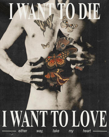 Butterflies as Hearts (Photoshop)